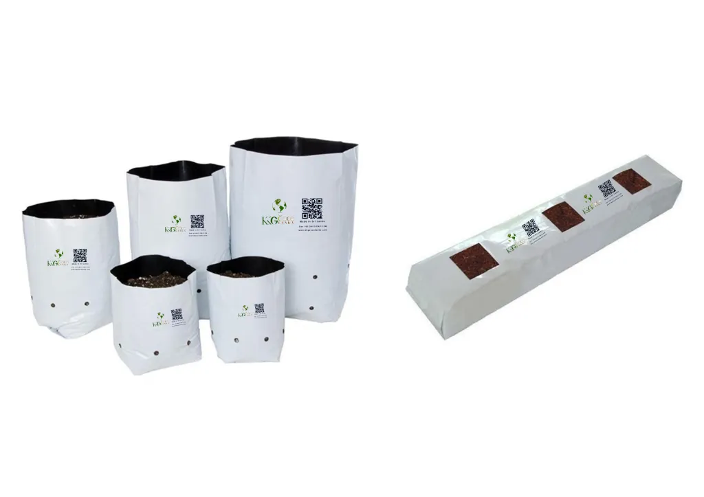 KKG Coco Lanka export products